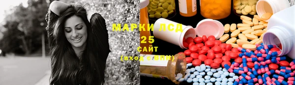 гидра Алексин