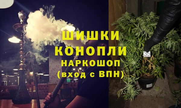 гидра Алексин